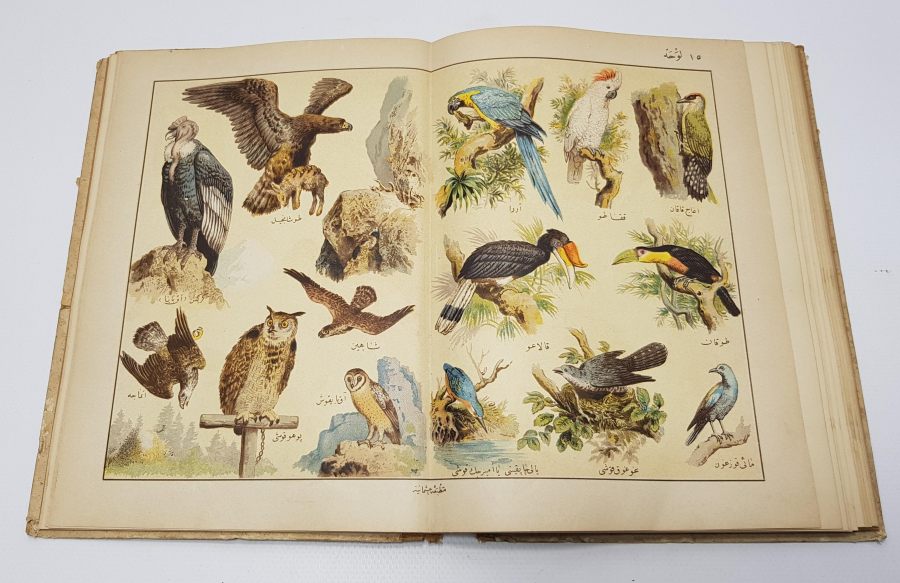 OSMANLICA KİTAP: MUSAVVER TARİFİ HAYVANAT