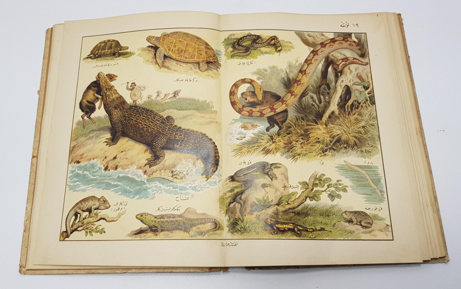 OSMANLICA KİTAP: MUSAVVER TARİFİ HAYVANAT