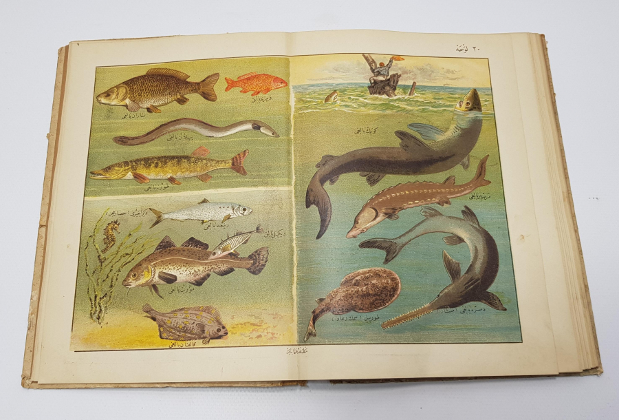 OSMANLICA KİTAP: MUSAVVER TARİFİ HAYVANAT