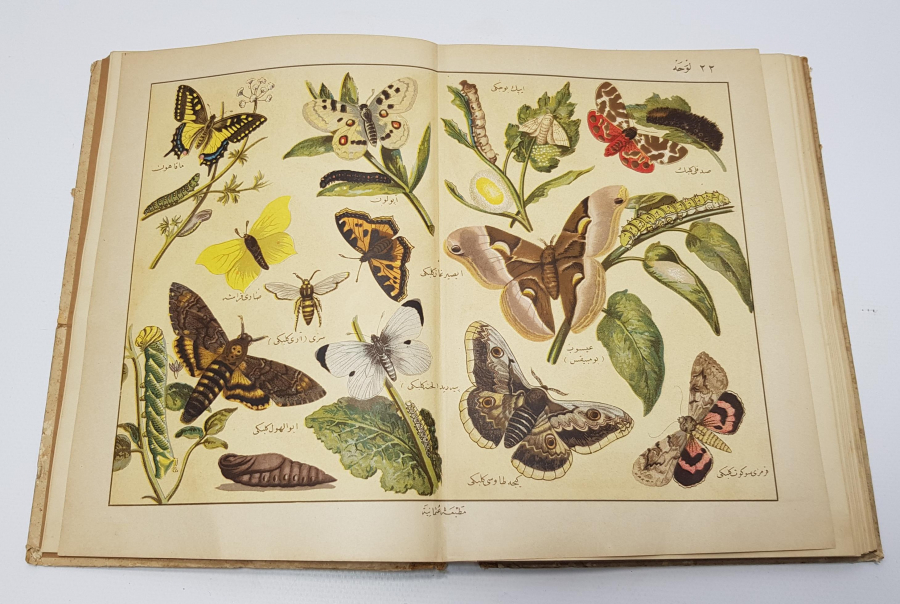 OSMANLICA KİTAP: MUSAVVER TARİFİ HAYVANAT