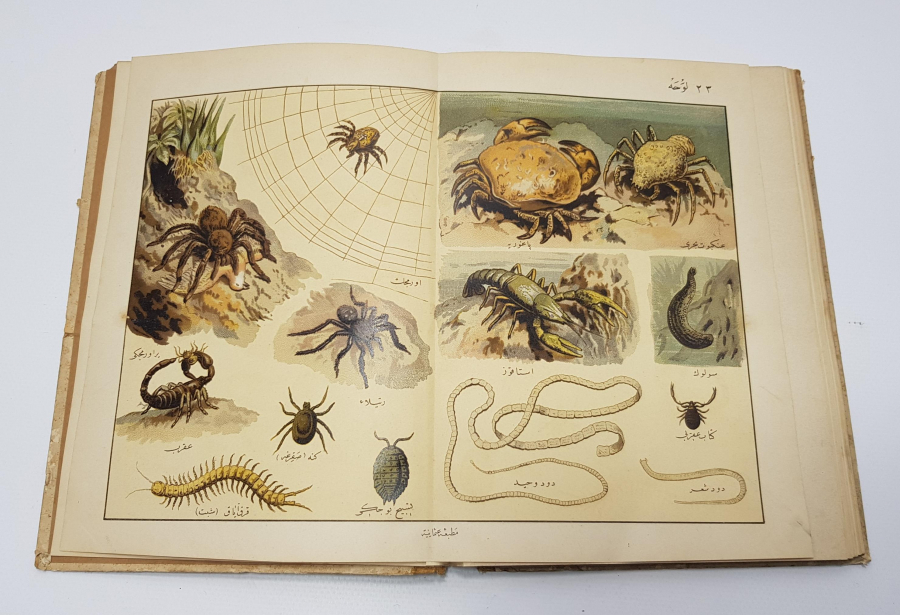 OSMANLICA KİTAP: MUSAVVER TARİFİ HAYVANAT