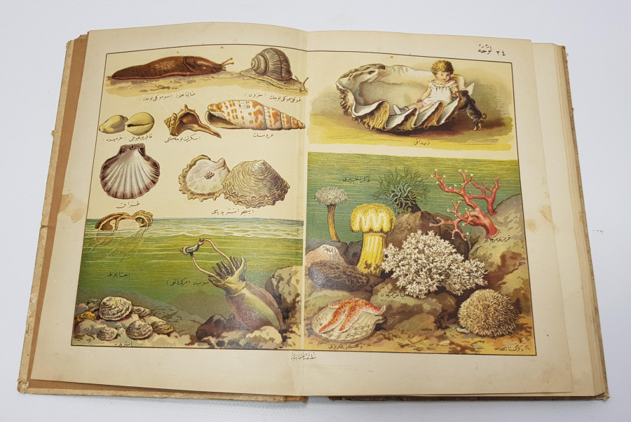 OSMANLICA KİTAP: MUSAVVER TARİFİ HAYVANAT