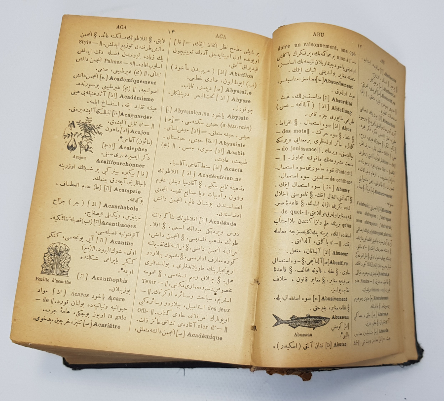 1905 BASKI BOL RESİMLİ OSMANLICA FRANSIZCA SÖZLÜK