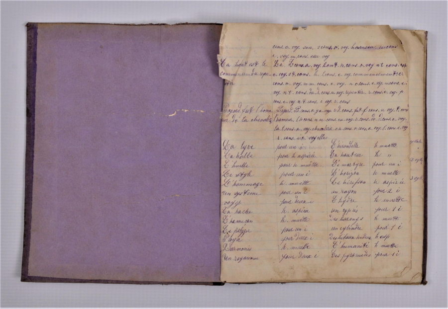 TUĞRA VE HİLAL CİLTLİ FRANSIZCA DEFTER