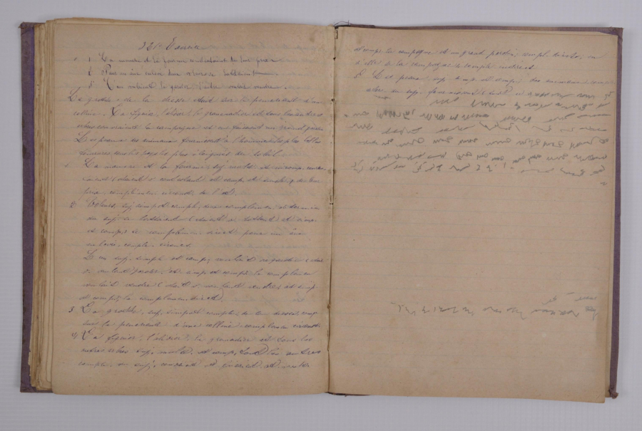 TUĞRA VE HİLAL CİLTLİ FRANSIZCA DEFTER