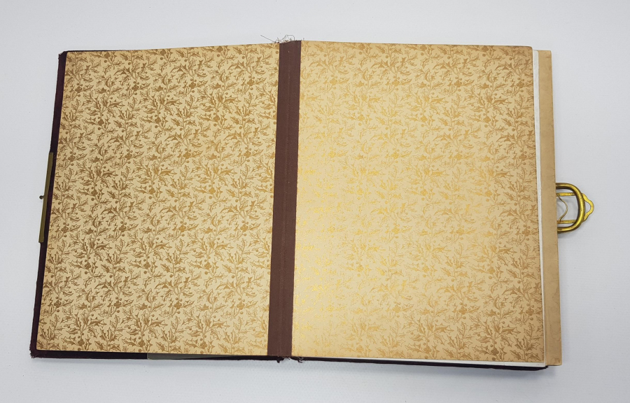 OSMANLI DÖNEMİ ART NOUVEAU KABİN FOTOĞRAF ALBÜMÜ