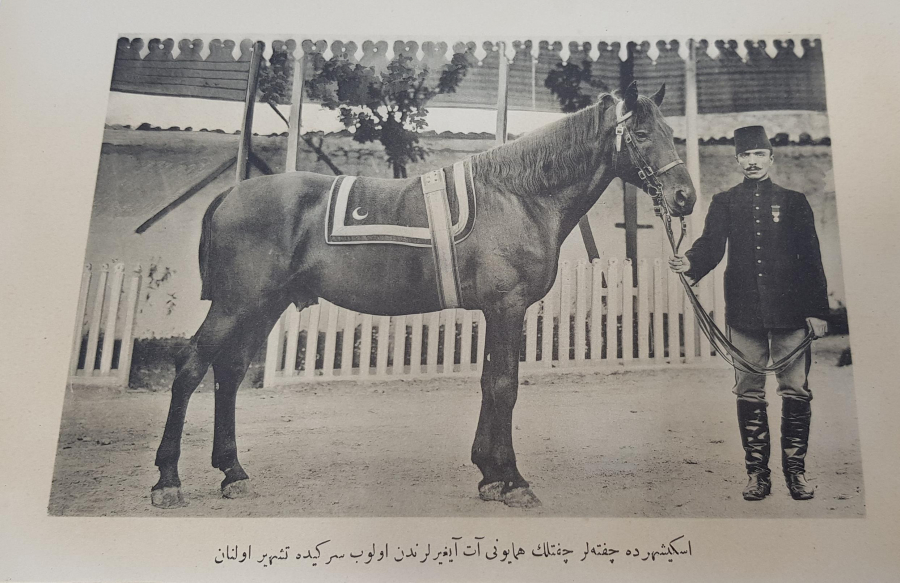 OSMANLICA YAZILI GRAVÜR: ESKİŞEHİR'DE ÇİFTELER ÇİFTLİK HUMAYUNU AYGIRI