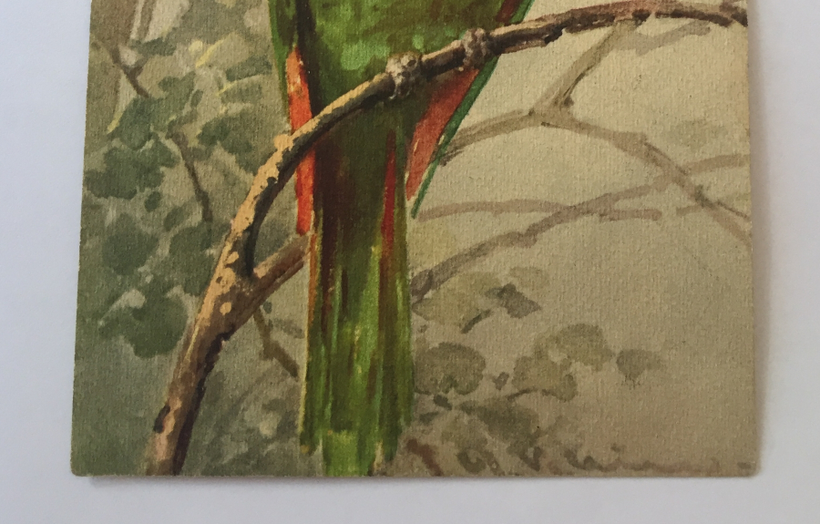 OSMANLI DÖNEMİ TABLODAN YAPILMIŞ KARTPOSTAL