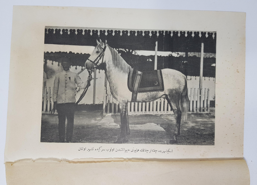 OSMANLICA GRAVÜR: ESKİŞEHİR ÇİFTELER ÇİFTLİĞİ 