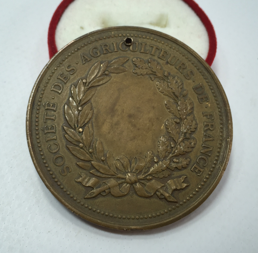 1897 YILI FRANSIZ MADALYON