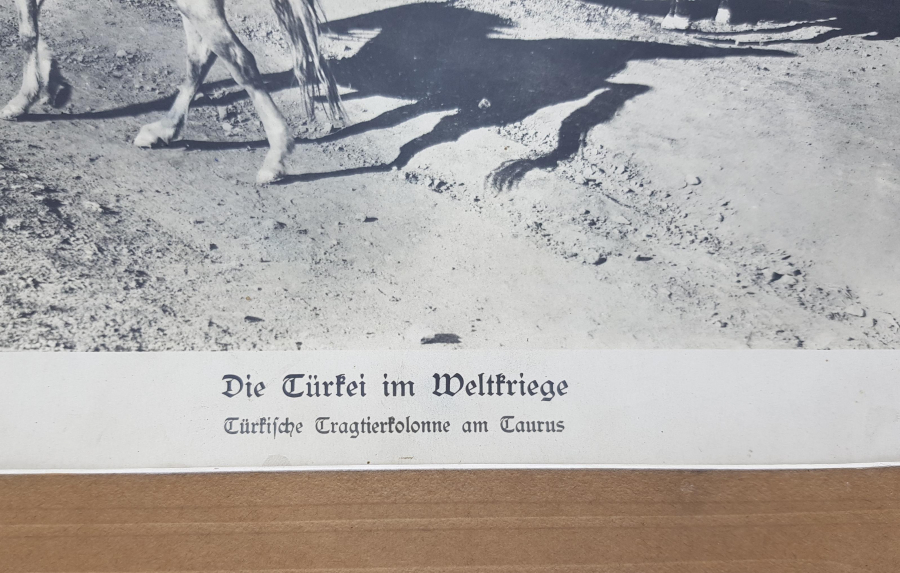 1. DÜNYA SAVAŞI TOROSLARDA TÜRK ASKERLERİ DEV BOY FOTOĞRAF