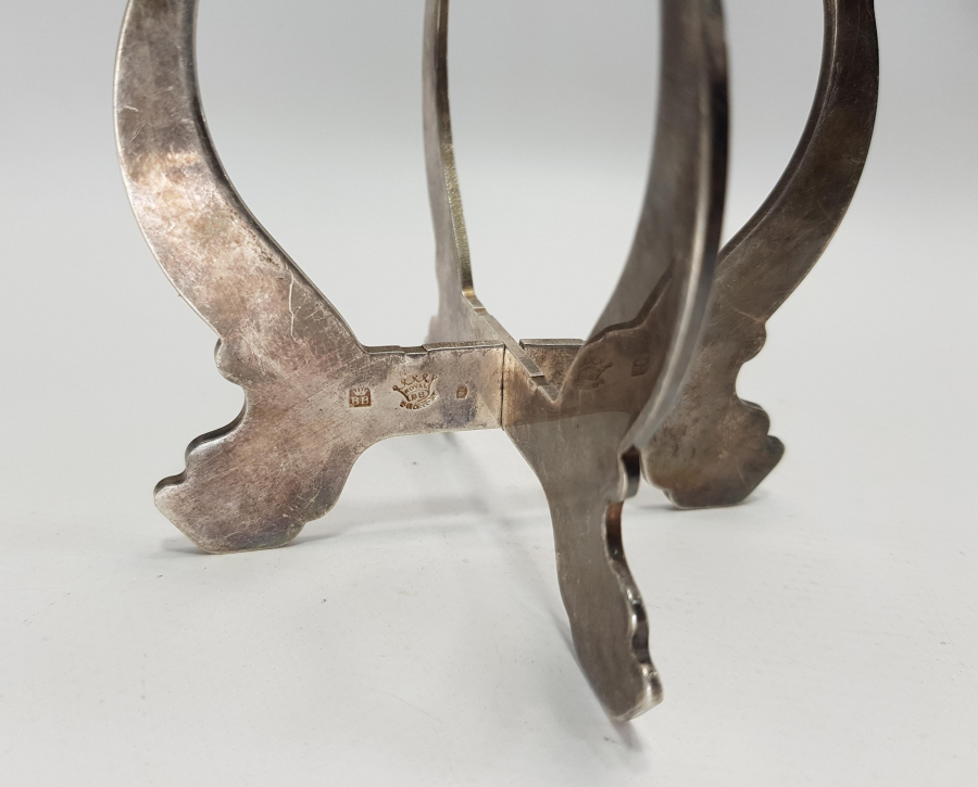 GÜMÜŞ KAPLAMA NİHALE 