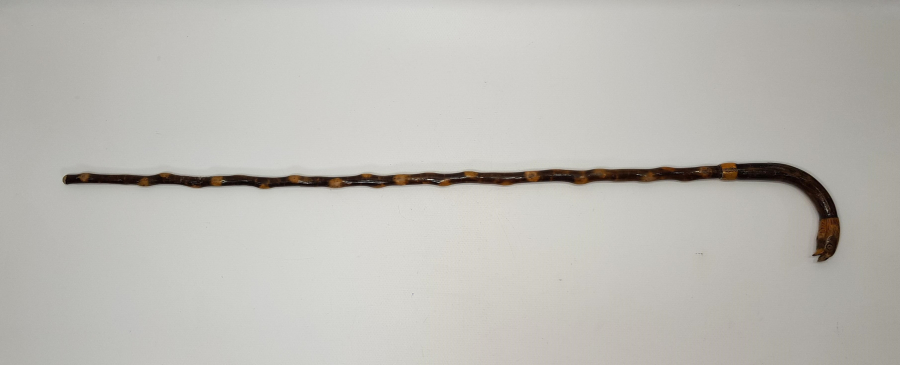 KARTAL FİGÜRLÜ YILAN AĞACI BASTON 