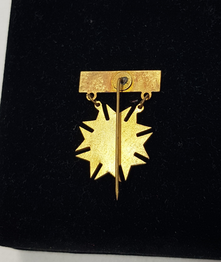 ÜZERİ MİNE İŞÇİLİKLİ KIZILAY ROZETİ