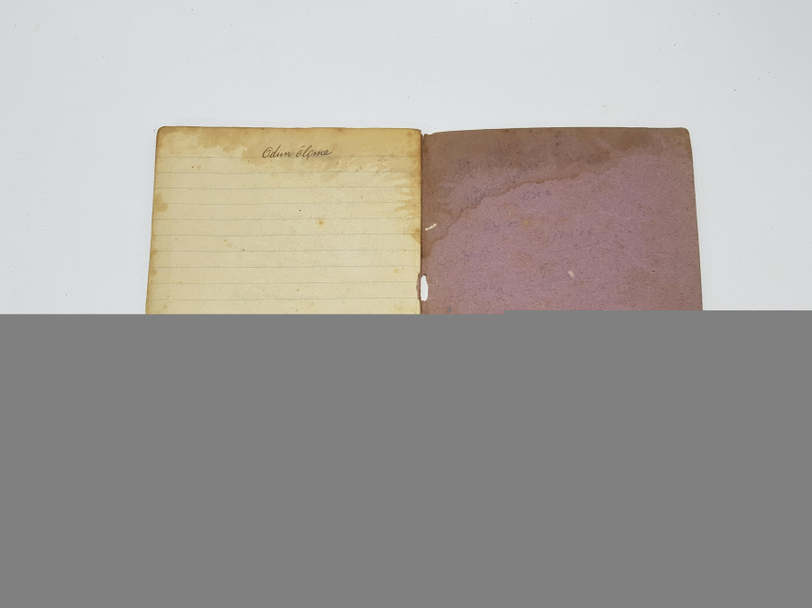 OSMANLICA EL YAZMA ODUN ÖLÇME, ORMANCI DEFTERİ 