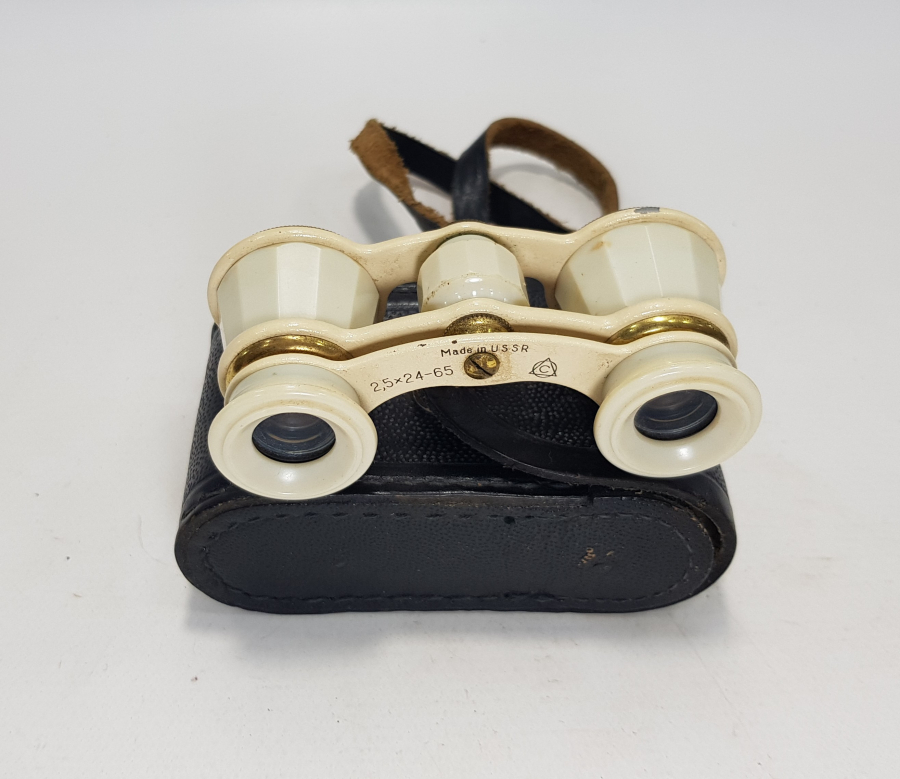 KUTUSUNDA SEDEF DÜRBÜN 