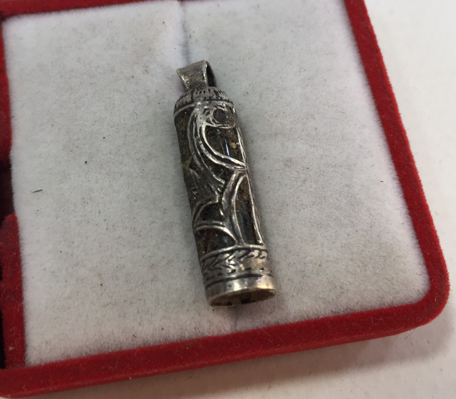 GÜMÜŞ MUHAFAZA İÇİNDE CEVŞENİ KEBİR