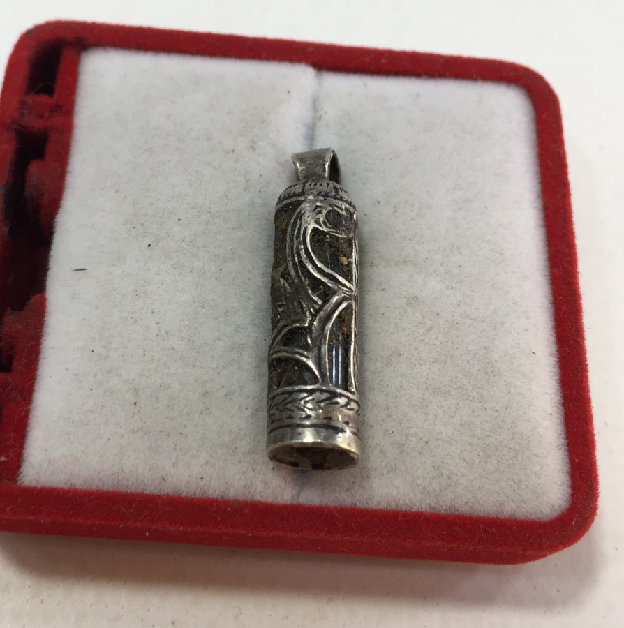 GÜMÜŞ MUHAFAZA İÇİNDE CEVŞENİ KEBİR