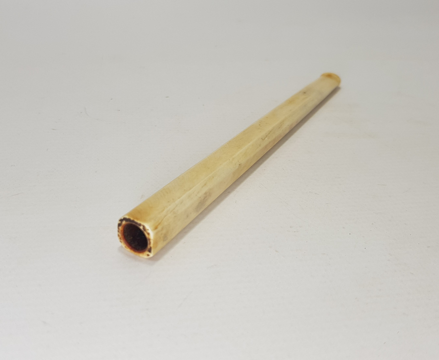 FİLDİŞİ AĞIZLIK 