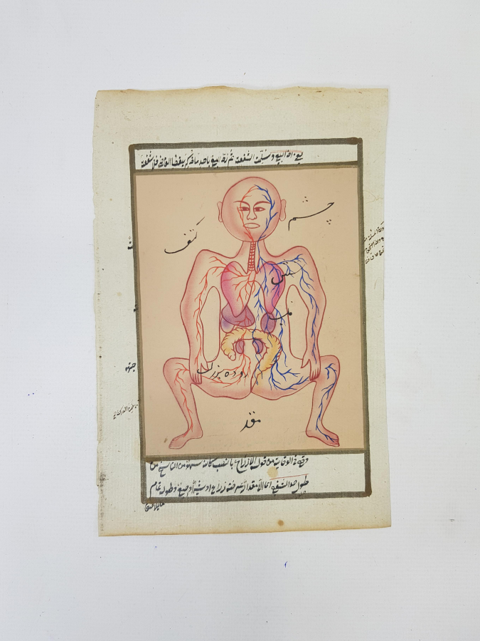 İNSAN VÜCUDU ÇİZİMLİ DOLAŞIM VE SİNDİRİM SİSTEMİNİ GÖSTERİR EL YAZMA VARAK