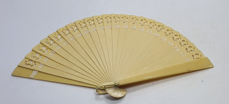 1900 BAŞLARI MORS DİŞİ YELPAZE