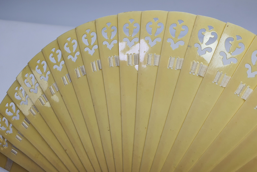 1900 BAŞLARI MORS DİŞİ YELPAZE