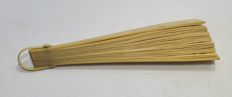 1900 BAŞLARI MORS DİŞİ YELPAZE