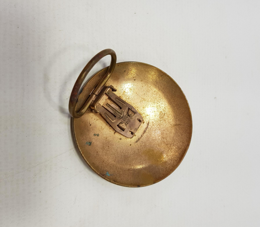 ASLAN GÖRSELLİ MİNELİ BREVET BROŞ 