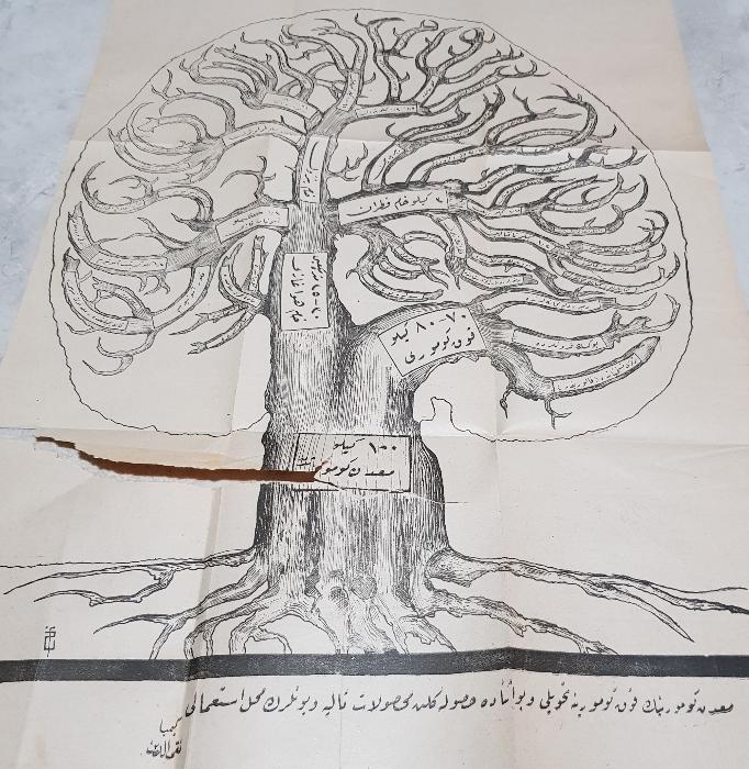 OSMANLICA LEVHA: MADEN KÖMÜRÜNÜN KOK KÖMÜRÜNE DÖNÜŞÜMÜ