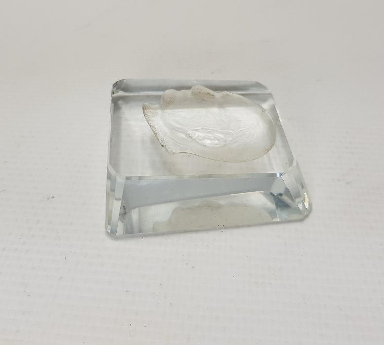 ATATÜRK SİLÜETLİ CAM MASA ÜSTÜ OBJESİ 