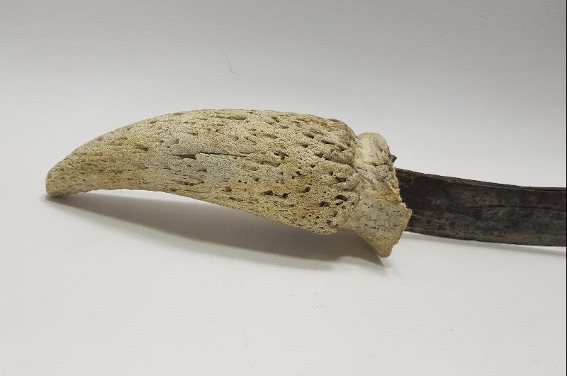 BOYNUZ SAPLI SALDIRMA BIÇAK 