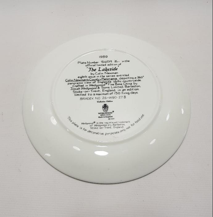 SANATÇI İMZALI EL BOYAMA PORSELEN DUVAR TABAĞI 