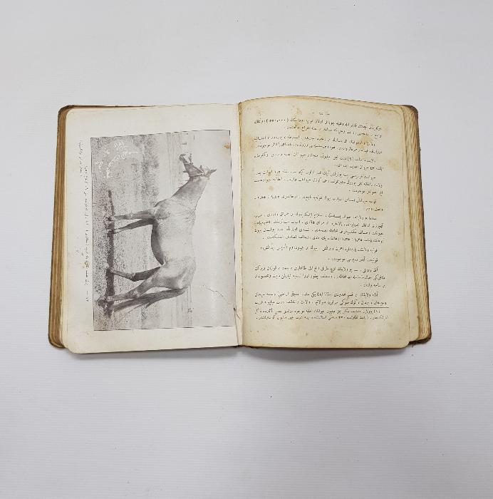 ENVER PAŞA'YA İTHAF EDİLMİŞ BOL GRAVÜRLÜ OSMANLICA KİTAP: OSMANLI ATLARI 