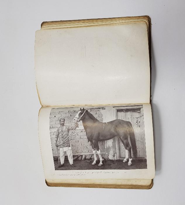 ENVER PAŞA'YA İTHAF EDİLMİŞ BOL GRAVÜRLÜ OSMANLICA KİTAP: OSMANLI ATLARI 