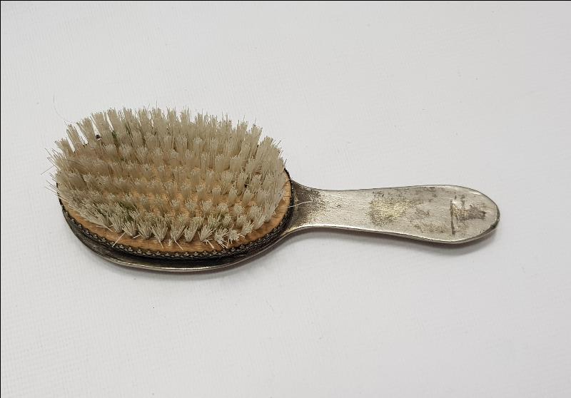 1900'LERDEN MİNELİ ELBİSE FIRÇASI