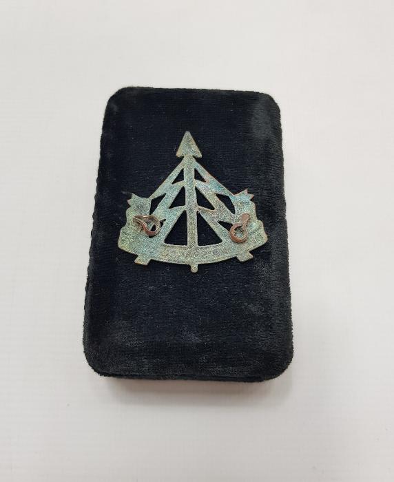 2. DÜNYA SAVAŞI İNGİLİZ ASKERİ ROZET