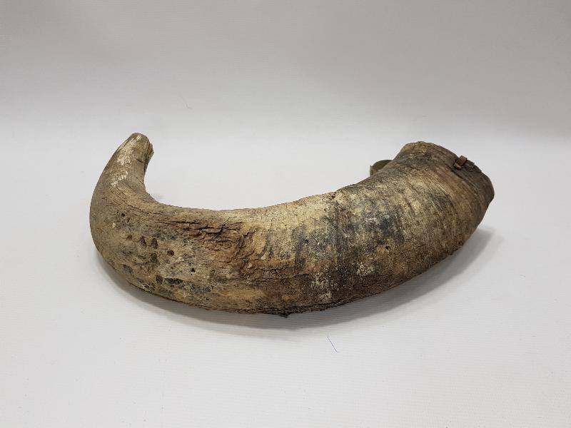 OSMANLI DÖNEMİ 1. DÜNYA SAVAŞI BOYNUZ YAĞDANLIK 