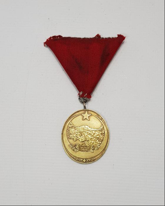 İSTİKLAL MADALYASI 