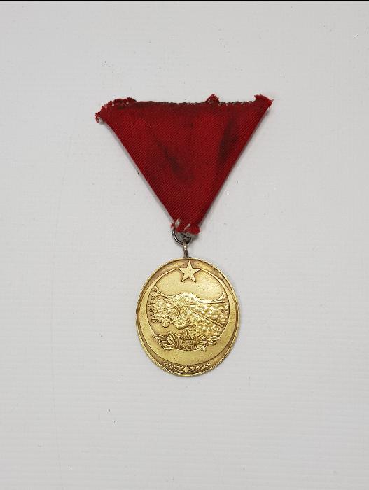 İSTİKLAL MADALYASI 