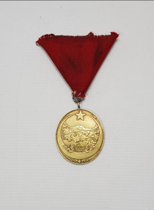 İSTİKLAL MADALYASI 