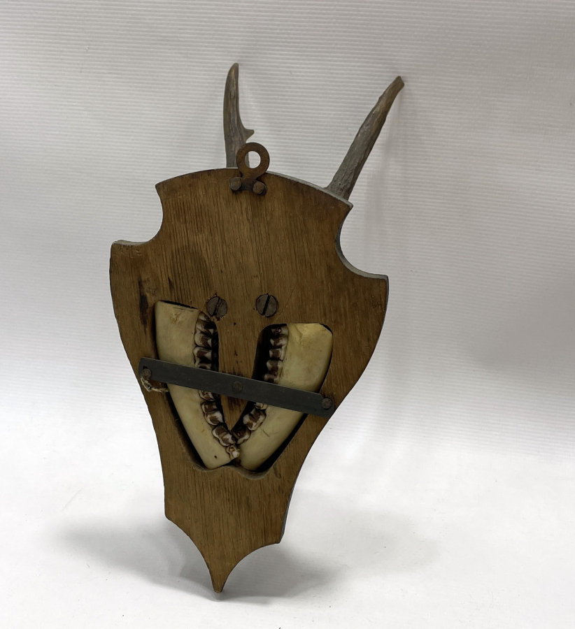 1930 LARDAN AVRUPA YAPIMI GEYİK TROFESİ VE DİŞLERİ