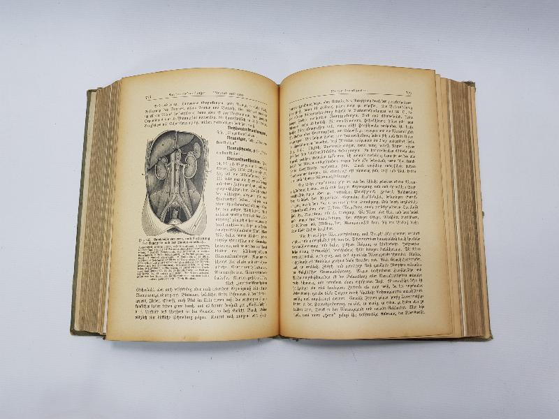 1913 TARİHLİ ALMANCA TIP KİTABI: DIE FRAU ALS HAUSAERZTIN 