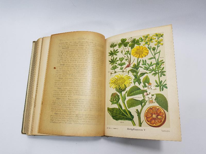 1913 TARİHLİ ALMANCA TIP KİTABI: DIE FRAU ALS HAUSAERZTIN 