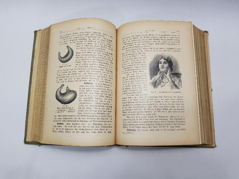 1913 TARİHLİ ALMANCA TIP KİTABI: DIE FRAU ALS HAUSAERZTIN 