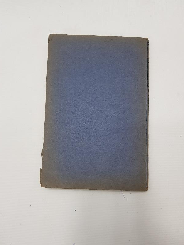 1918 ALMANCA KİTAP: DIE TURKEI 