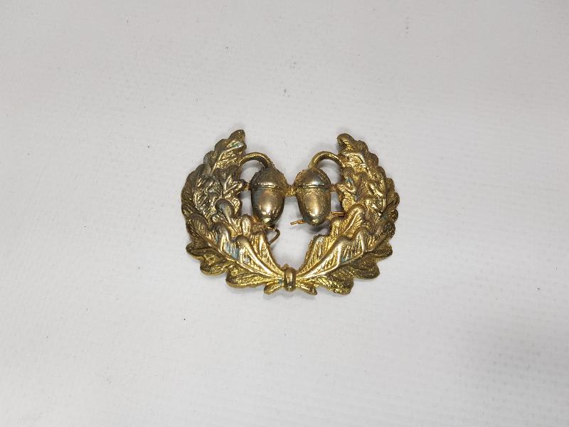 ORMANCILIKLA İLGİLİ BRÖVE