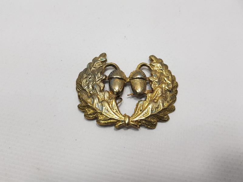 ORMANCILIKLA İLGİLİ BRÖVE