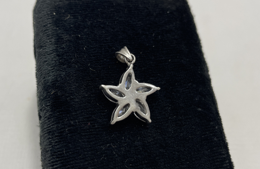 PAPATYA FORMUNDA GÜMÜŞ KOLYE UCU