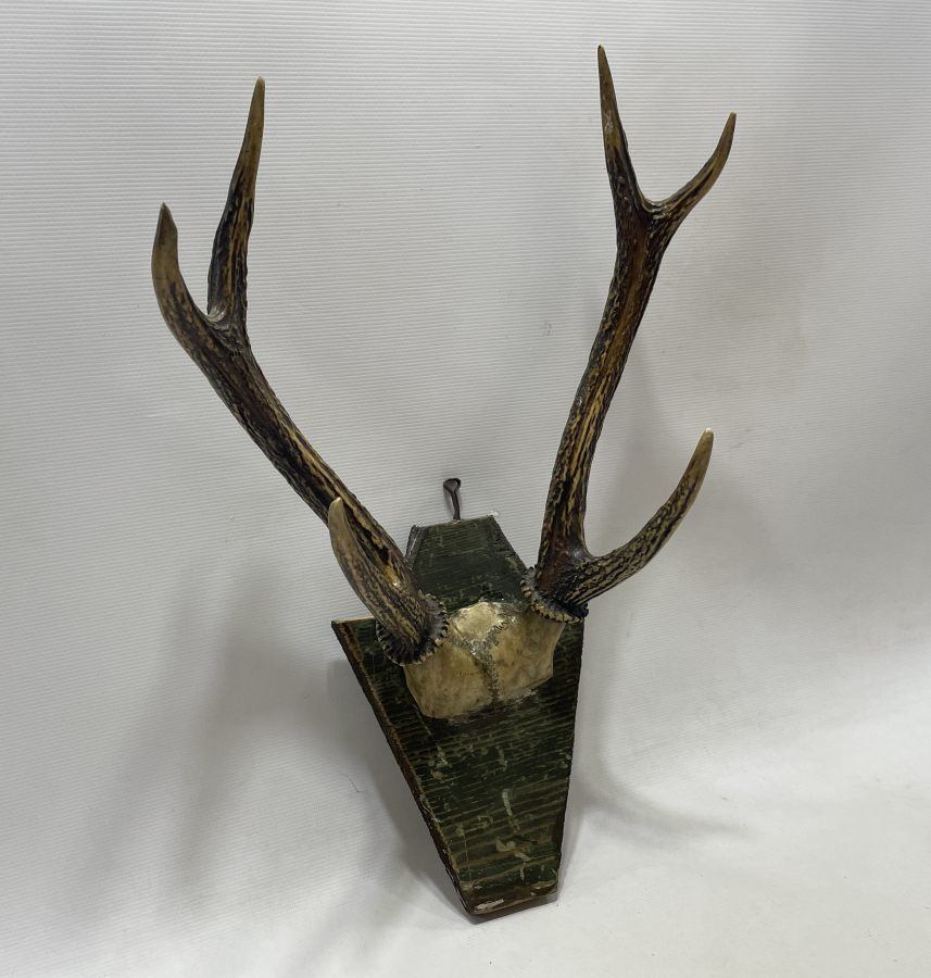 ANTİKA GEYİK TROFESİ