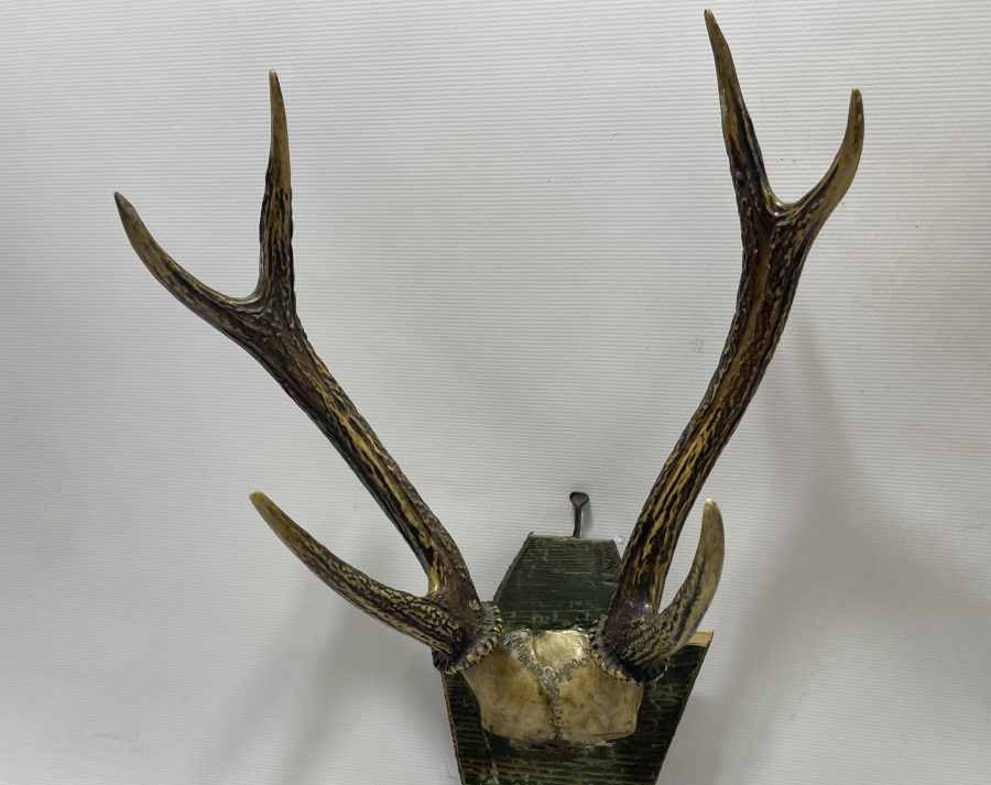 ANTİKA GEYİK TROFESİ